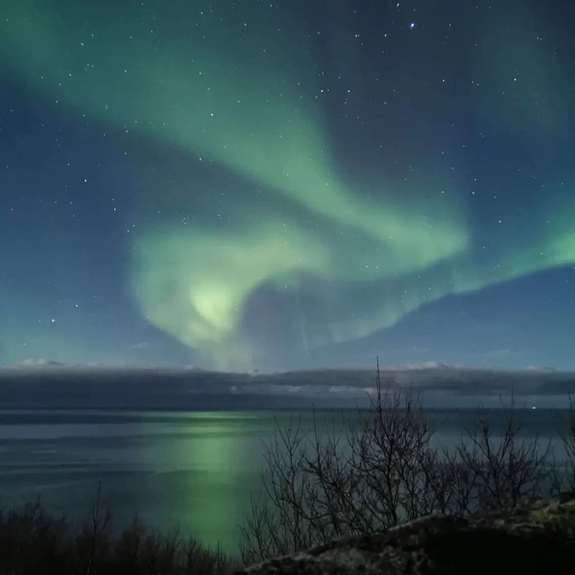 Lofoten Islands Private Northern Lights Tour
