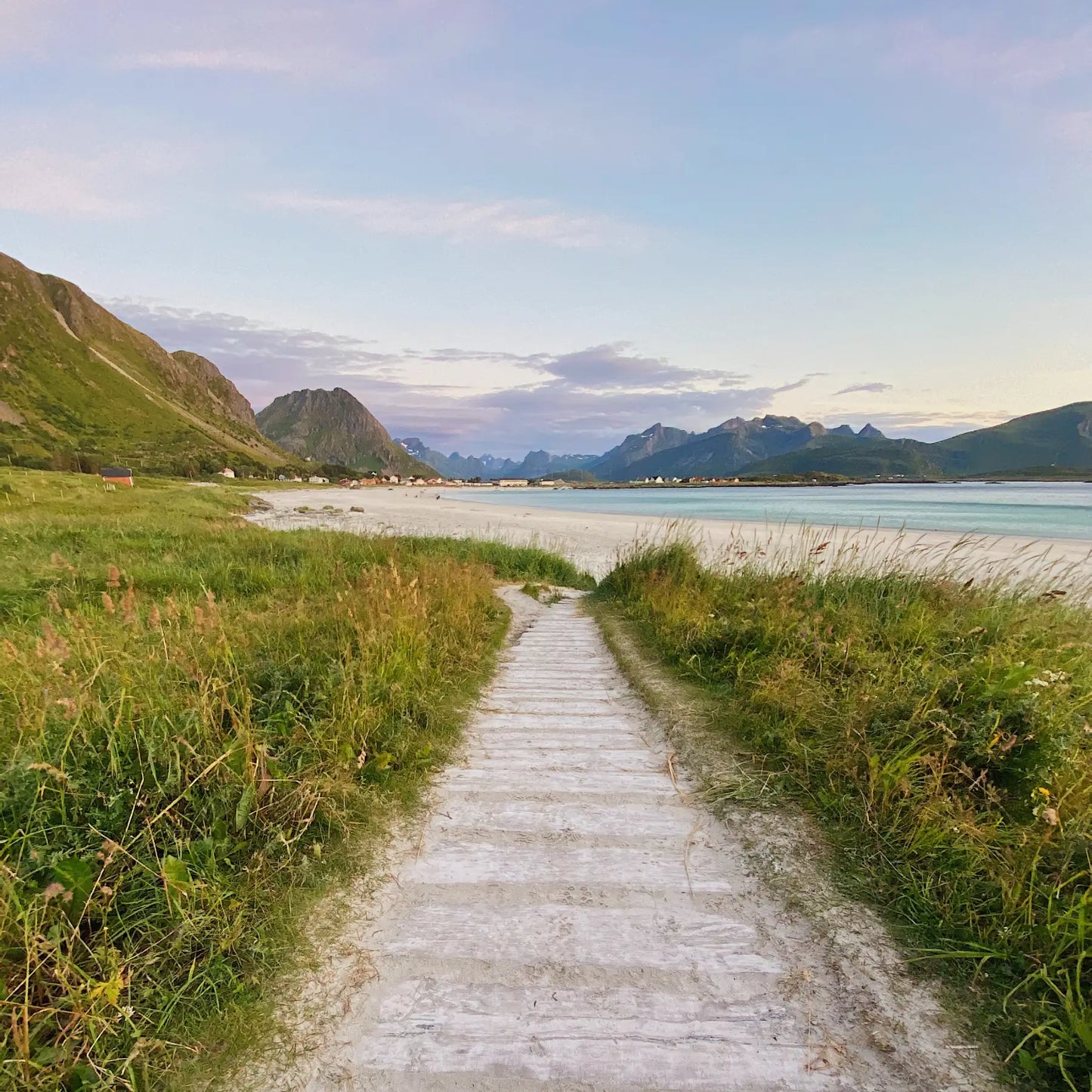 Ramberg beach in Lofoten. A trail in front of a white sandy beach, green grass and turqouise water. The mountains are in the background
