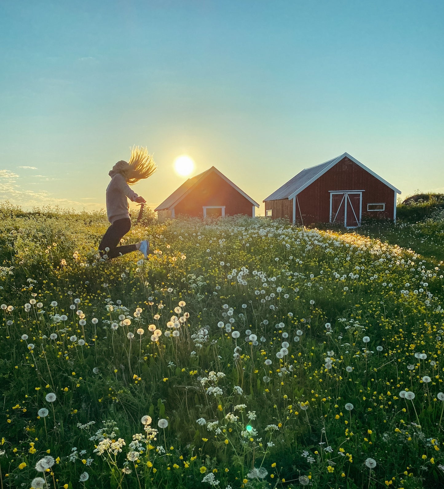 Lofoten Islands Private Full Photo Tour