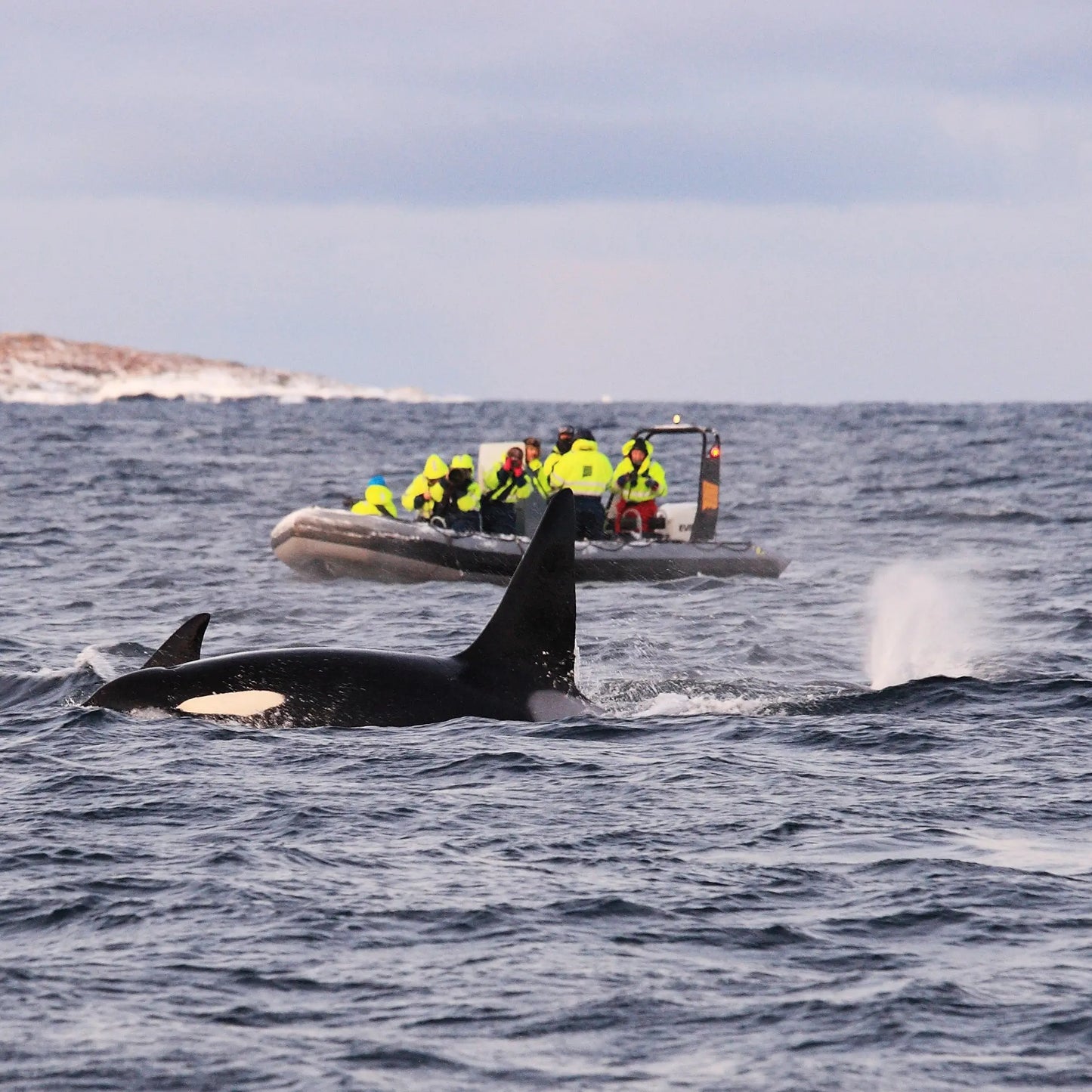 Custom Lofoten tour - book a free call